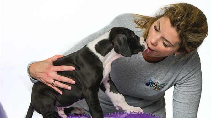 Dr. Jean Dodds to Headline Second Annual Healthy Dog Expo in New York