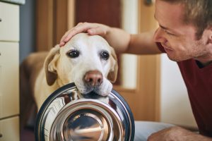 Importance of a Species Appropriate Pet Diet