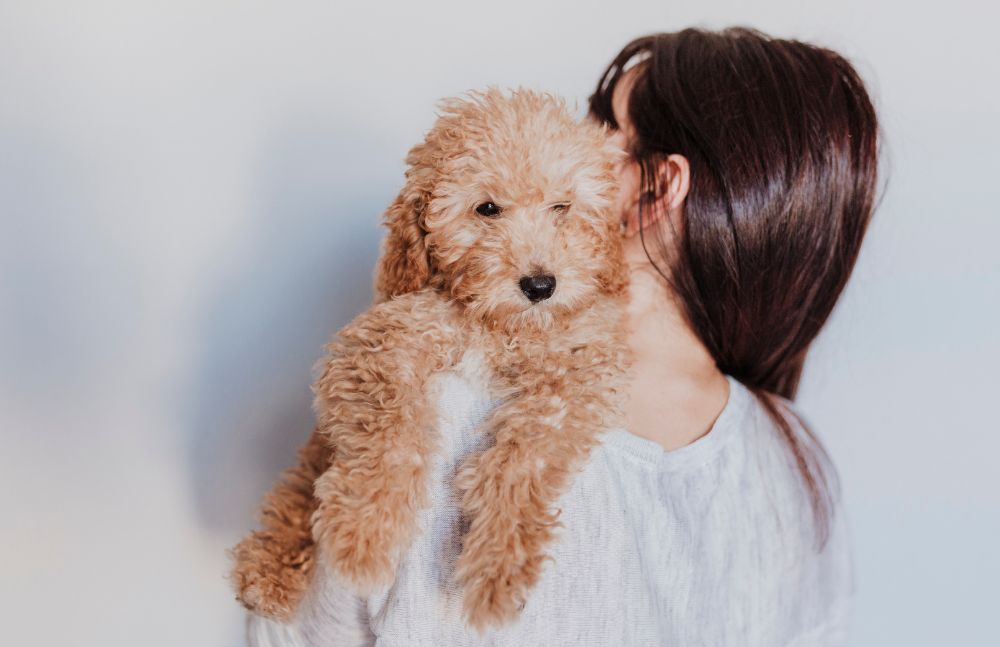 Assess the risk of a pet-cancer through Dr.Pope's course
