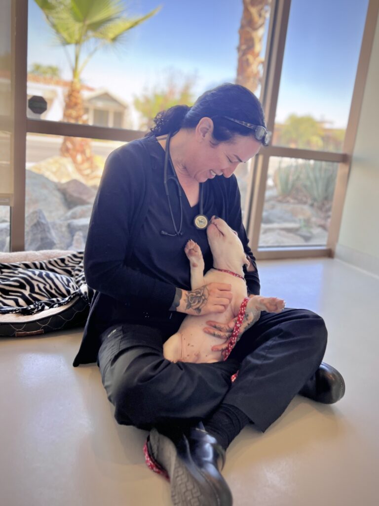 image0 - Alexis Rambaud