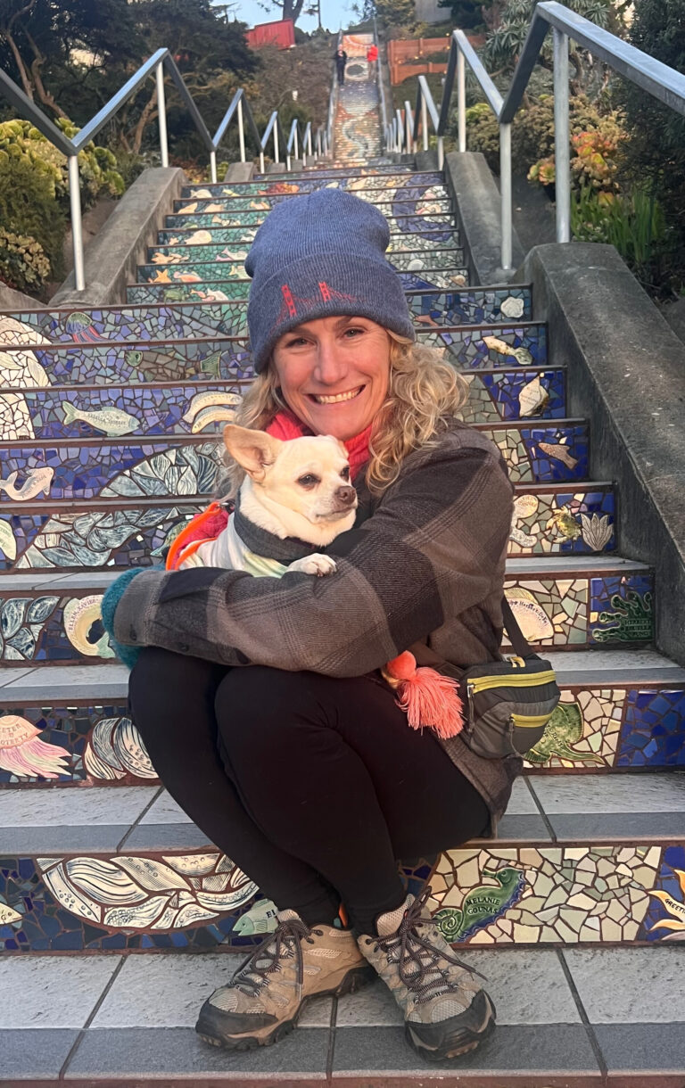 aeb66a44-b3b6-4ac4-a0c1-e49054d18434